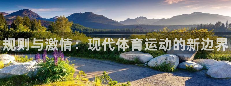3377体育手机平台