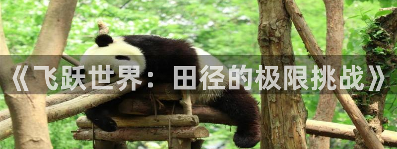 3377体育官方app下载