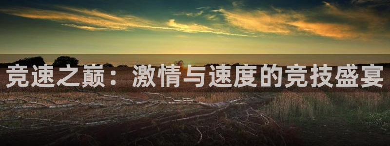 3377体育官网