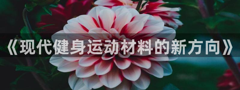3377体育中国官方网站入口