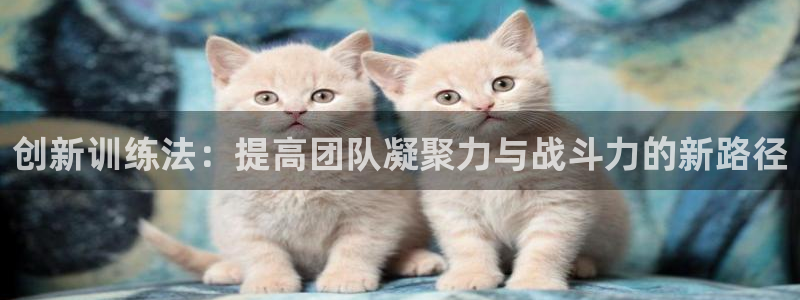 3377体育(中国)官方网站
